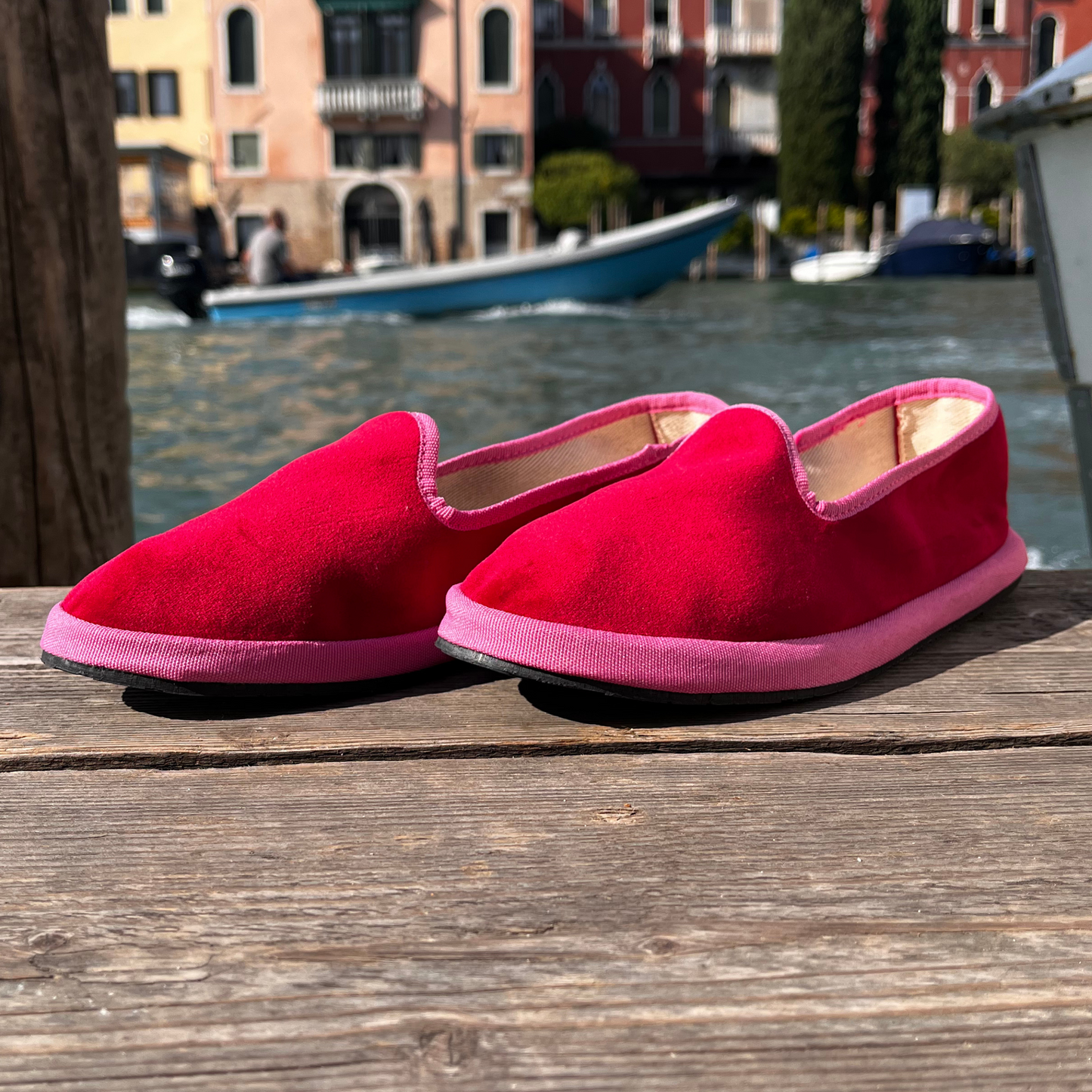 Lierre frioulan Venise